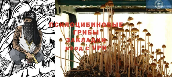 прущая мука Няндома