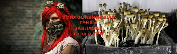 МДПВ Балахна