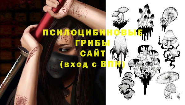 гидропоника Балабаново