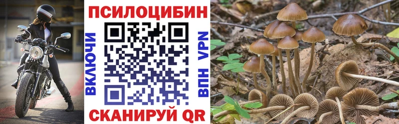 Галлюциногенные грибы Psilocybine cubensis  MEGA как зайти  Городовиковск 
